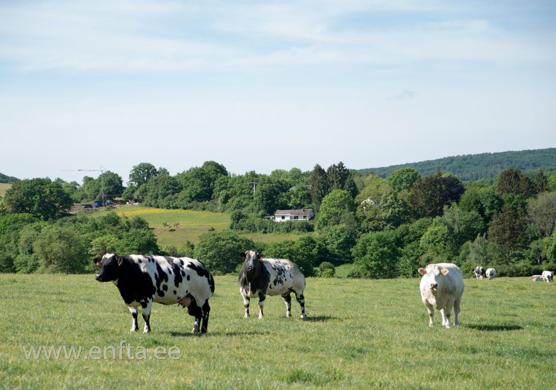 C2 First you get through the local police